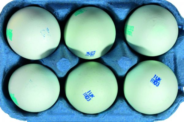 Sainsbury’s Launches ‘True Blue’ British Eggs