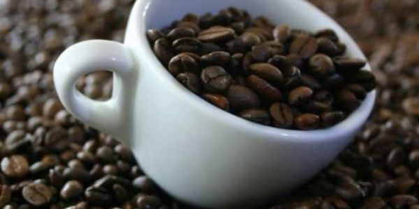 USDA Forecasts Rise In EU Coffee Consumption For 2017/18