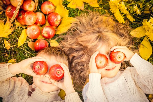 European Grocers Recruit Kids For Test Labs To Cut Sugar