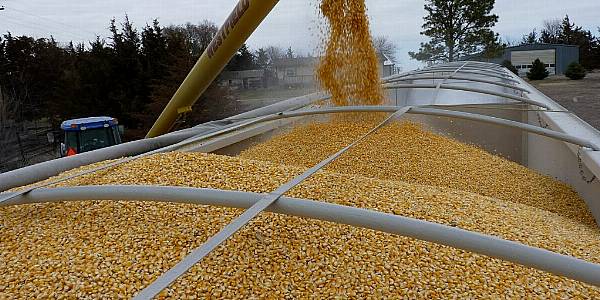 Droughts, Ukraine War Push Global Grain Stocks Toward Decade Low