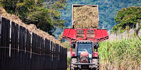 US Extends Sugar Talks With Mexico As Both Countries Near Deal