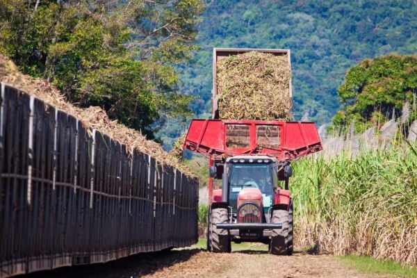 US Extends Sugar Talks With Mexico As Both Countries Near Deal