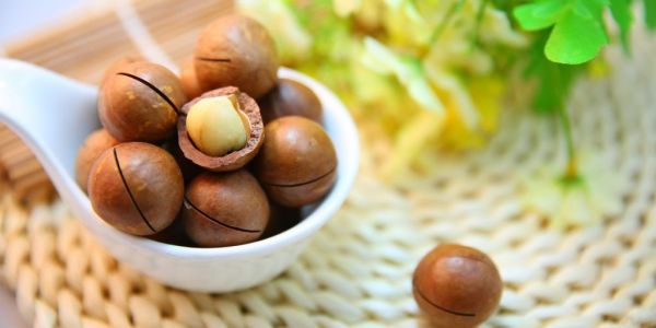 Macadamia Nut Craze Transforms Farmland In South Africa's East