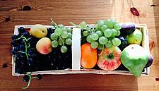 European Fruit Production To Fall Due To Bad Weather