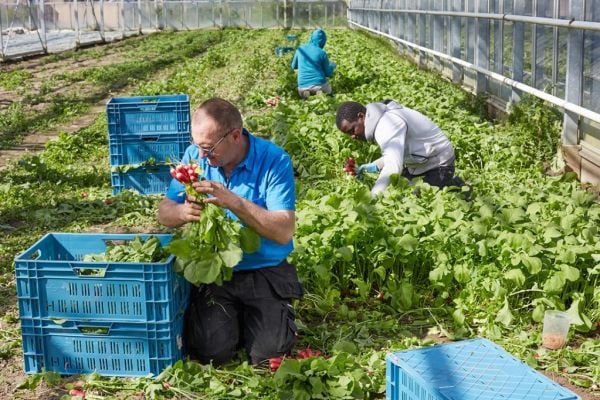 Colruyt Group To Invest In Organic Agricultural Land