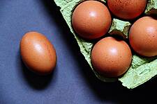 Italy's Barilla Group To Only Use 'Cage-Free' Eggs