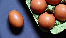 Europe's Tainted Eggs Seen Hurting Future Trade For Netherlands