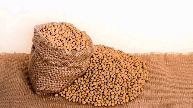 Cargill To Boost US Soy Crush Capacity, Plant Efficiency As Food, Biofuel Demand Rises