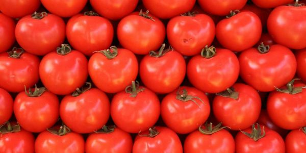Italy Leading Exporter Of Tomato Products