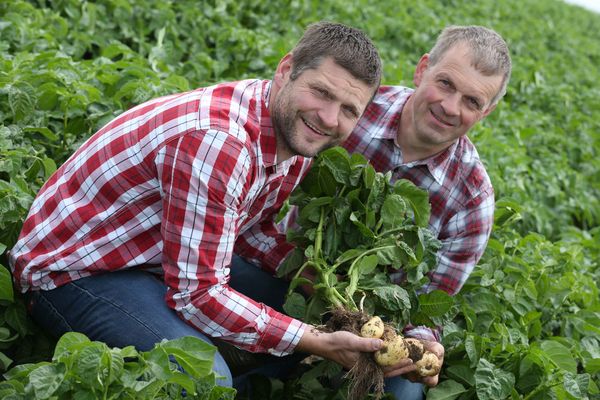 SuperValu To Sell €32 Million Of Irish Potatoes In 2017