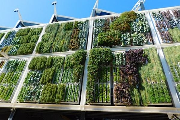 Carrefour France Grows First Vertical Garden