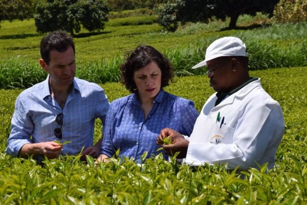 Waitrose To Make All Own-Label Teas Fairtrade Certified