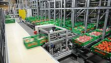 WITRON Develops Optimal Fresh Picking System For Fruit And Veg