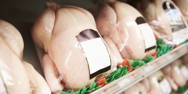 Chlorinated Chicken Back On Menu In Britain's Brexit Conundrum