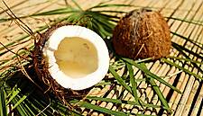 Coconut Beauty Products Worth Over £12 Million A Year In UK