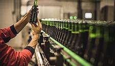Mahou San Miguel Invests €1.2 Million In Granada Plant