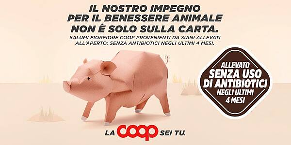 Coop Italia Introduces Antibiotic-Free Pork