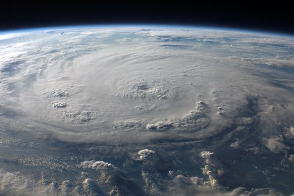 Hurricane Harvey Floodwaters Threaten 1.2 Million Cows