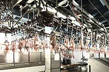 Cherkizovo Group Sees Pork Sales Volume Up 20% In May