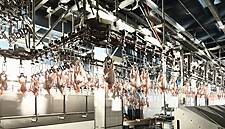 Cherkizovo Sees Volume Sales Of Chicken, Turkey And Pork Rise In January