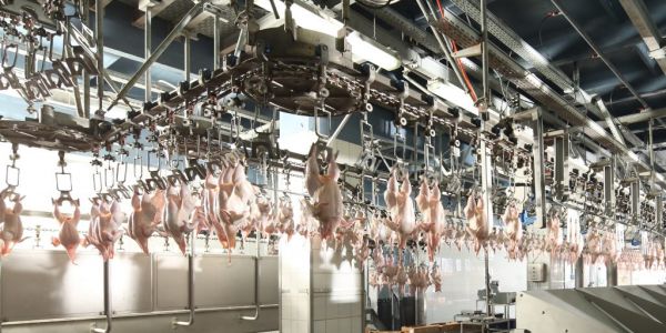 Cherkizovo Sees Volume Sales Of Chicken, Turkey And Pork Rise In January