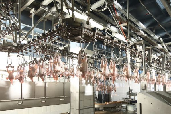 Cherkizovo Sees Volume Sales Of Chicken, Turkey And Pork Rise In January