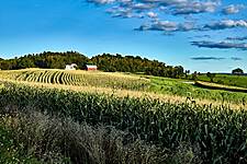 Food Workers, Rural Americans Go Hungry Despite US Government Farm Aid