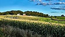 Food Workers, Rural Americans Go Hungry Despite US Government Farm Aid