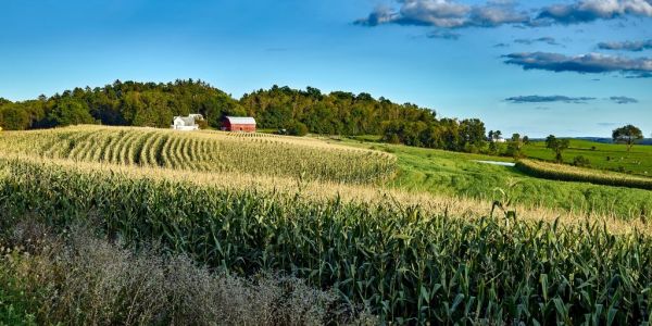 First US Farm-Income Gain In Four Years Signals Hope of Bottom