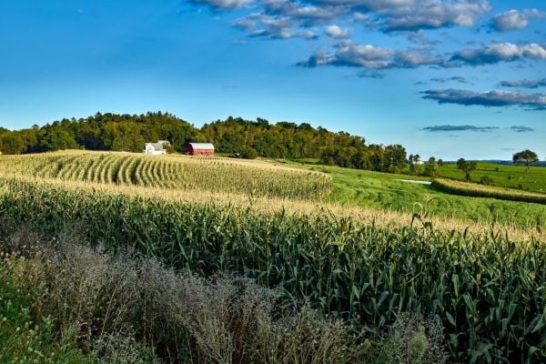 First US Farm-Income Gain In Four Years Signals Hope of Bottom