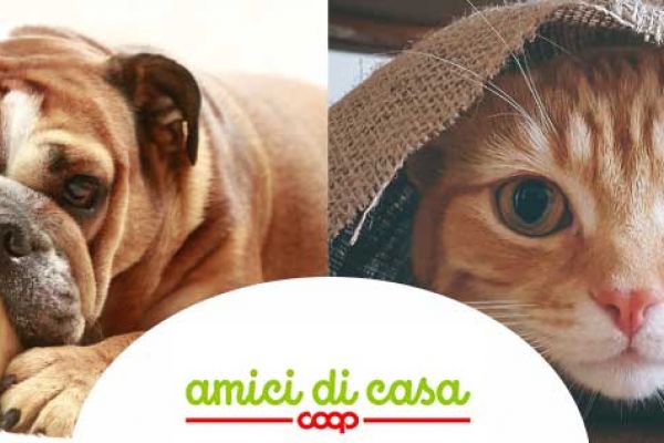 Coop Alleanza 3.0 Expands Into Pet Store Business