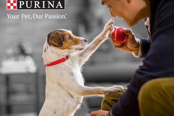 Nestlé Purina Promotes Working With Pets
