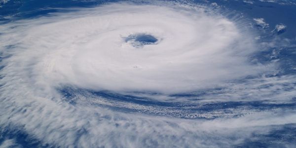 Irma Destroys Over Half Of Orange Crop In Parts Of Florida