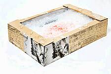Kesko Introduces Wood Fibre Fish Boxes To Replace Plastic Packaging
