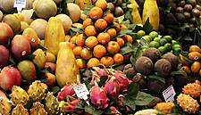 Dutch Exporters Fear Fruit Will Rot If Brexit Deal Not Done