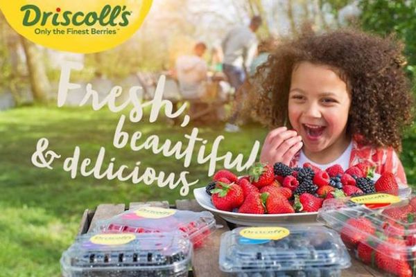 Driscoll’s Understands The Booming Business Of Berries