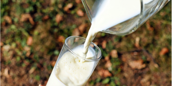 Arla To Bolster UK Dairy Business With Yeo Valley Acquisition