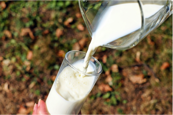 Carrefour And Système U Agree To Raise Milk Prices