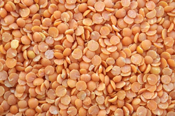Booming Lentil Prices Are Back After Canadian Harvest Washout