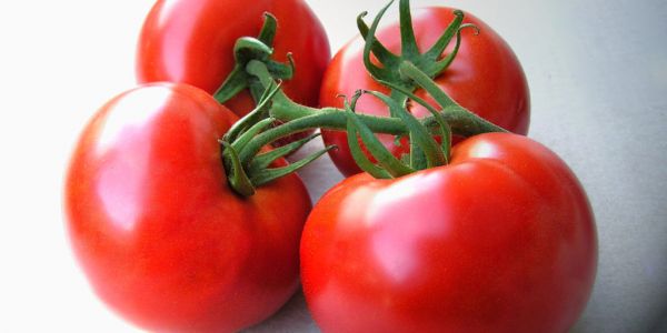 Casalasco Del Pomodoro Acquires Tomato Brand De Rica