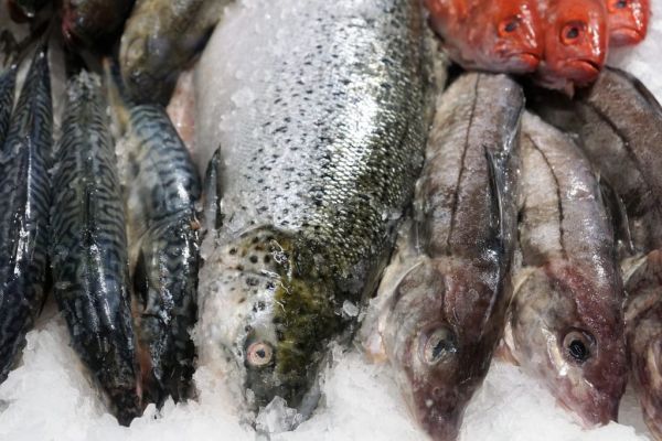 Carrefour Polska Expands Its Range Of MSC Certified Fish