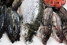 WTO Talks: What's At Stake On Fishing Rules?