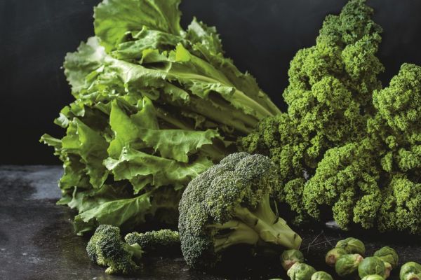 Jumbo Promotes Dutch Seasonal Greens With Free Recipes