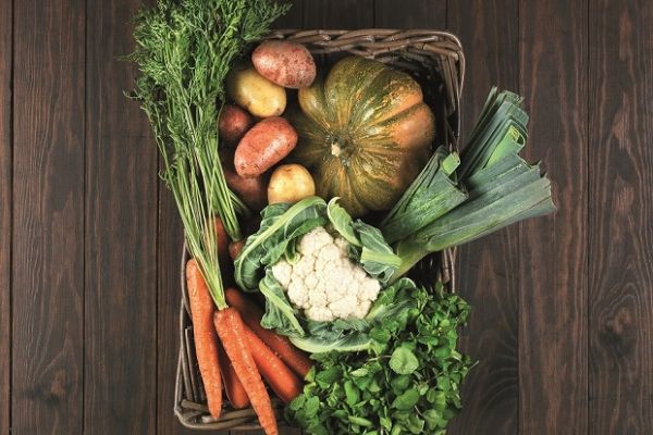 Continente Online Starts Home Delivery Of Fresh Goods