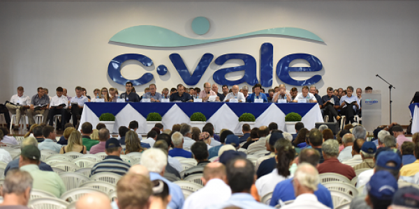 Brazilian C.Vale Reports 24% Increase In Net Sales Despite Crisis