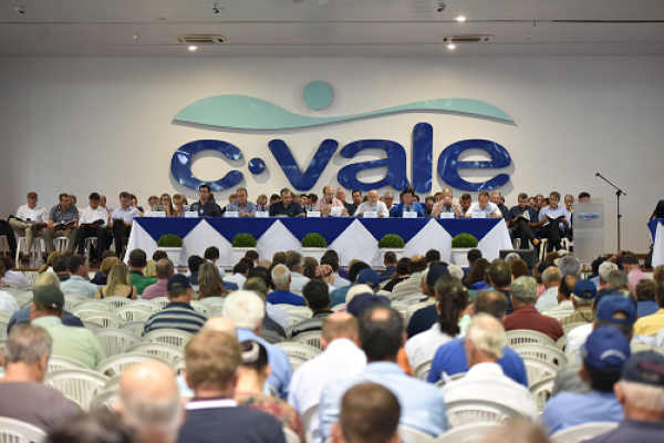 Brazilian C.Vale Reports 24% Increase In Net Sales Despite Crisis