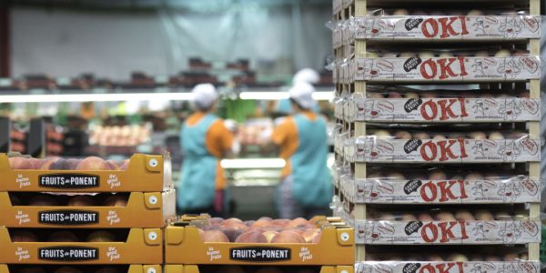Fruits de Ponent Celebrates 25th Anniversary At Fruit Logistica
