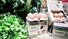 Carrefour Spain Reaches Private Label Free-Range Egg Deal