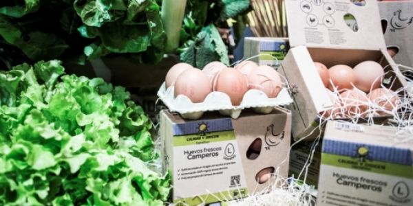Carrefour Spain Reaches Private Label Free-Range Egg Deal