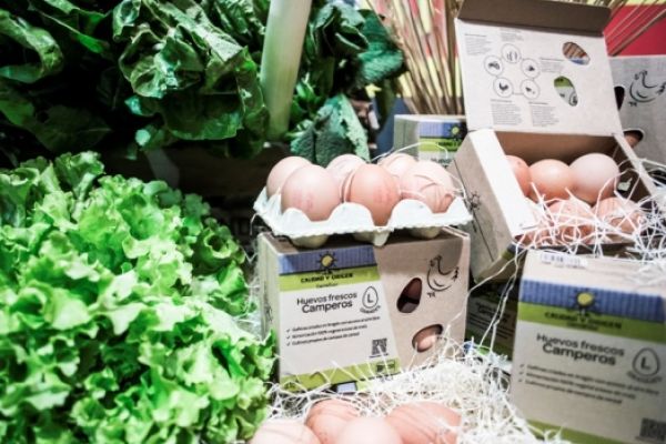 Carrefour Spain Reaches Private Label Free-Range Egg Deal